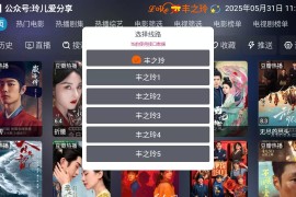 丰之玲 v6.0.92 TV内置版