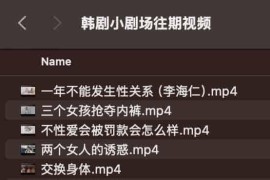 韩剧小剧场往期视频 擦边网剧