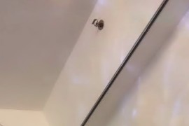 视讯 白樱子  付费定制  一对一 露逼少毛自慰