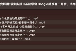 学完即用!带你实操0基础学会Google精准客户开发，成为外贸业务高手