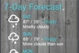 1Weather v8.3.3 安卓绿化版