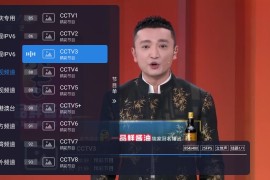 嘉庆TV v1.1.0 TV版