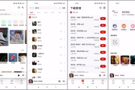 聆听音乐 v1.6.5 安卓绿化版
