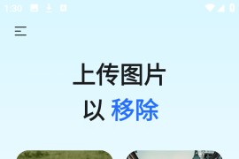 Remove v1.6.5_2509 安卓绿化版