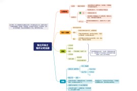 独立开发者之海外公司注册 – meepo