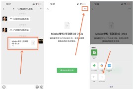 Misaka 授权文件 2024.03.31到期