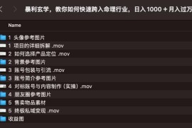 暴利玄学，教你如何快速跨入命理行业，日入1000＋月入过万