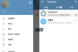 Telegram v10.11.0 安卓绿化版