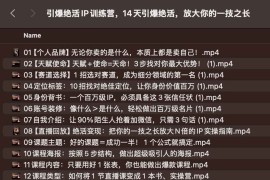 引爆绝活IP训练营，14天引爆绝活，放大你的一技之长
