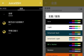 JuiceSSH v3.2.2(200) 安卓绿化版