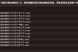 抖音引流私域转化7.0，带你搭建抖音引流私域转化体系，带你实现企业持续十年的盈利