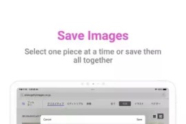 WEB Image Downloader v2.3.3 安卓绿化版