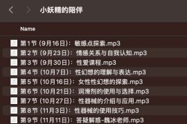 小妖精的陪伴