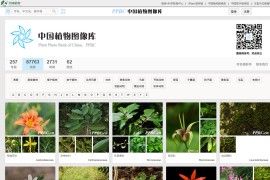 最大的植物分类图片库-PPBC中国植物图像库