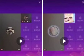 快手 21岁女大学生    极品美女 密码房 裸舞定制 2v