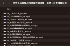 拼多多运营实战班流量底层逻辑，免费+付费流量玩法