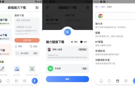 超强磁力下载 v1.4.1 安卓绿化版