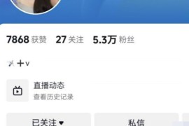 抖音  甜一   与金主裸聊  掰穴 震动棒自慰  1V