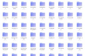 中小学辅导资料【合集】