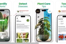 Plant App: Plant Identifier v3.0.9 iOS绿化版