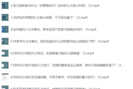 聪明的跨境人都在学的亚马逊站外运营课，每天10分钟，手把手教你成为站外运营高手
