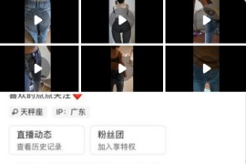 快手  允甜   付费大尺度  裸舞自慰定制 6v