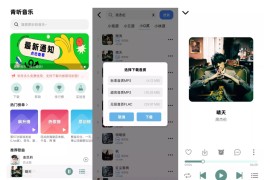 青听音乐 v1.2.2 安卓版+PC版+音源配置