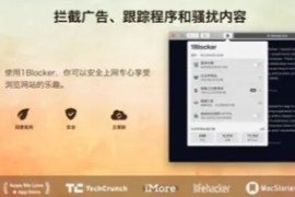 1Blocker – Ad Blocker v5.6.1 iOS绿化版