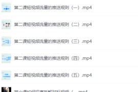 盗坤·抖音短视频带货（十期）
