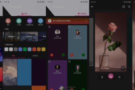 A铃声 & 壁纸 - RingWall v2_2_0220002 安卓绿化版