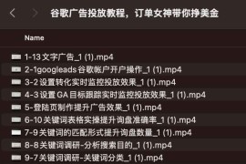 谷歌广告投放教程，订单女神带你挣美金