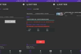 Lj视频下载器  v1.1.67 安卓绿化版