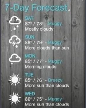 QQ截图20240624144053.png QQ截图20240624144053.png